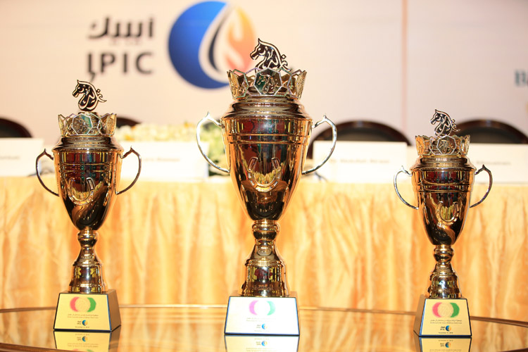 Abu Dhabi all set for world's richest race for Purebred Arabian horses